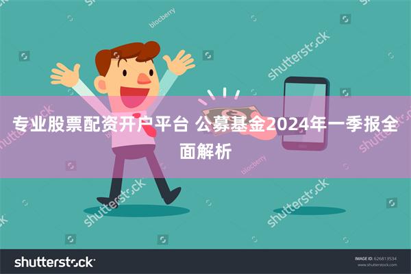 专业股票配资开户平台 公募基金2024年一季报全面解析