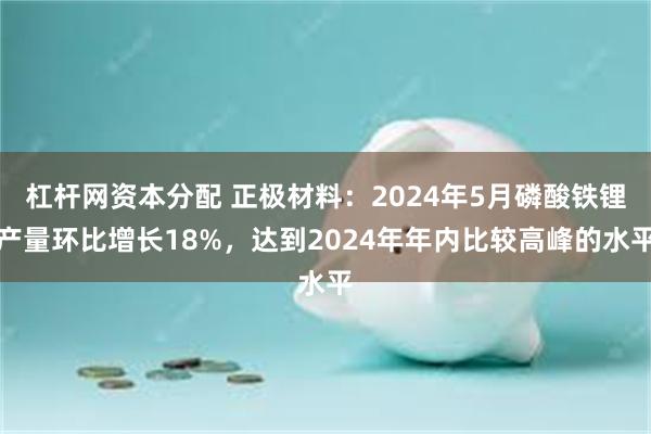 杠杆网资本分配 正极材料：2024年5月磷酸铁锂产量环比增长18%，达到2024年年内比较高峰的水平