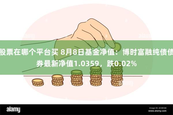 股票在哪个平台买 8月8日基金净值：博时富融纯债债券最新净值1.0359，跌0.02%