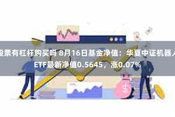 股票有杠杆购买吗 8月16日基金净值：华夏中证机器人ETF最新净值0.5645，涨0.07%