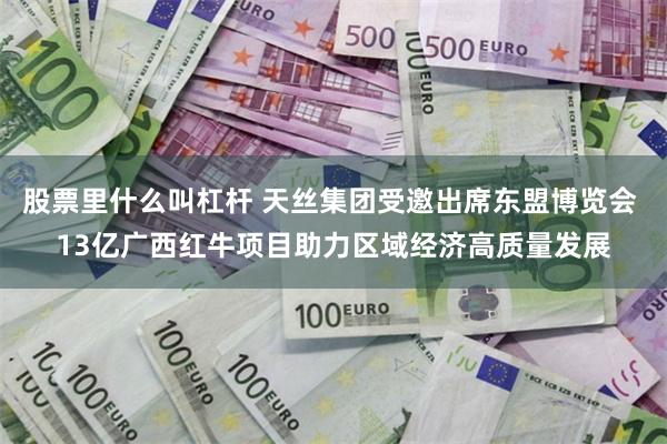 股票里什么叫杠杆 天丝集团受邀出席东盟博览会 13亿广西红牛项目助力区域经济高质量发展