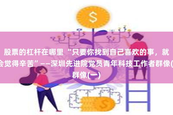 股票的杠杆在哪里 “只要你找到自己喜欢的事，就不会觉得辛苦”——深圳先进院党员青年科技工作者群像(一)