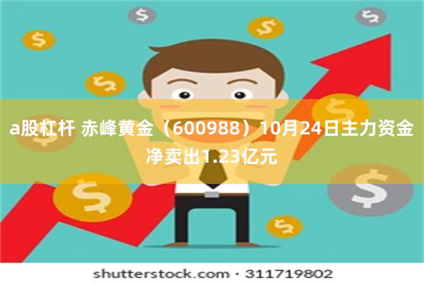 a股杠杆 赤峰黄金（600988）10月24日主力资金净卖出1.23亿元