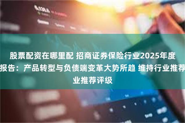 股票配资在哪里配 招商证券保险行业2025年度策略报告：产品转型与负债端变革大势所趋 维持行业推荐评级