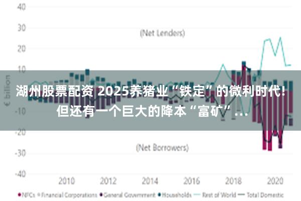 湖州股票配资 2025养猪业“铁定”的微利时代! 但还有一个巨大的降本“富矿”…