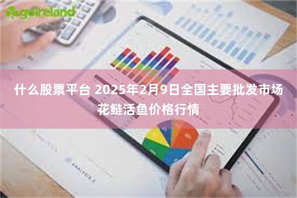 什么股票平台 2025年2月9日全国主要批发市场花鲢活鱼价格行情